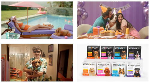 FOSBURY Y ATREVIA CONVIERTEN PERRITOS EN ESTRELLAS DE CINE PARA PROMOVER LA ADOPCIÓN