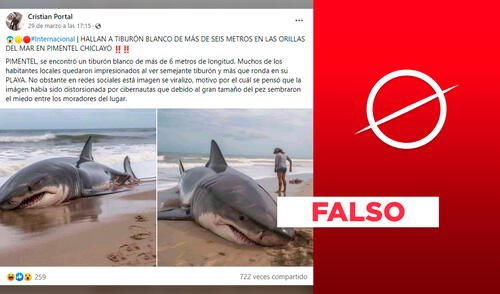 No, imágenes no muestran un supuesto tiburón blanco varado en Pimentel, Chiclayo. Foto: composición Verificador/captura de Facebook