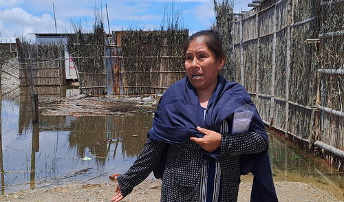 Vivienda de madre de familia se destruyó a consecuencia de las lluvias.