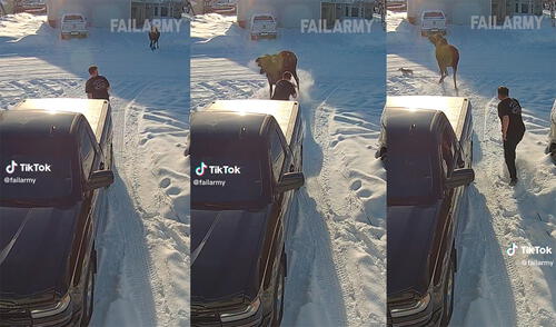 Video genera miles de reacciones en Tiktok. Foto: composición LR/TikTok TikTok, Video Viral