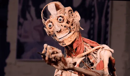 Body Worlds es una exposición científica que exhibe cadáveres disecados de cientos de voluntarios alrededor del mundo