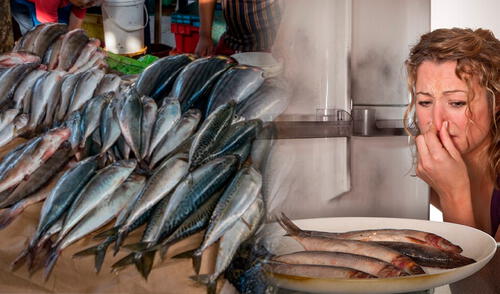 ¿Cómo hacer para conservar el pescado en la refrigeradora y dure más tiempo?