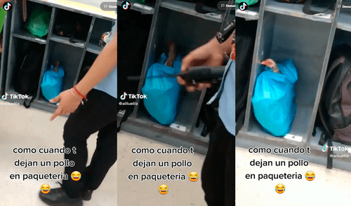 El trabajador no imaginó que se toparía con un ave en paquetería.