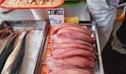 Pulpa de jurel en el terminal pesquero de Villa María del Triunfo. Foto: Barbara Mamani/URPI-LR Precio del jurel supera los S/30 el kg en el terminal pesquero de Villa María del Triunfo