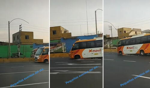 viral, redes sociales, video viral, TikTok