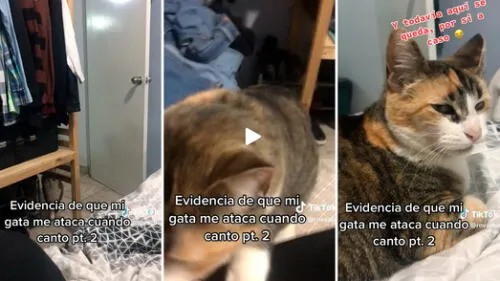 El video superó lo 10,2 millones de reproducciones. Foto: composición LR/captura de TikTok/@Rovazbo Joven practica su habilidad para el canto y su gata reacciona de la peor manera: “No soporta”