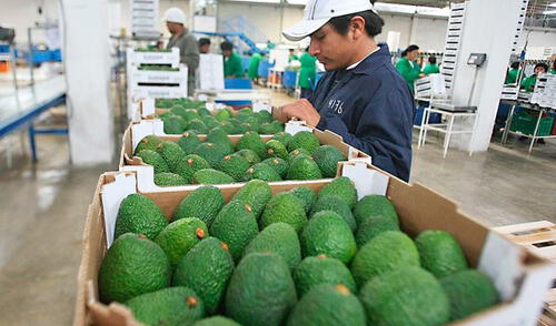 Mincetur lanza tercera convocatoria del Programa de Apoyo a la Internacionalización a emprendedores