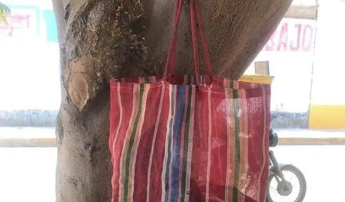 El paquete permaneció en el lugar por varias horas. Foto: Facebook / Erika Chavez larepublica.pe