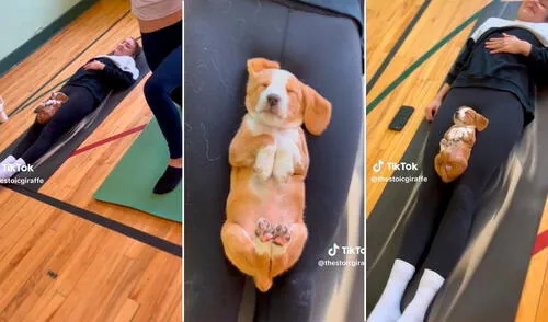 viral, video viral, TikTok