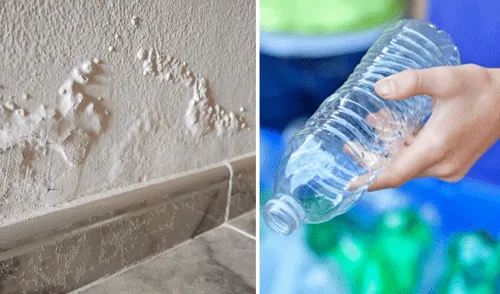¿Cómo reducir la humedad dentro de mi casa con botellas de plástico?