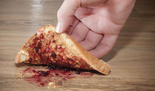 Recuerda que por más limpio que se vea el piso, siempre puede contener bacterias que infecten tus alimentos. Foto: Bacterología y virología/Facebook Regla de los 5 segundos: si se te cae comida al piso, ¿todavía puedes comértela?