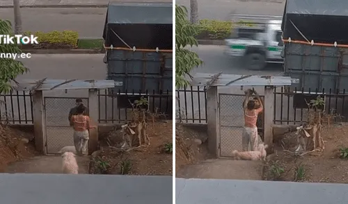 Mascotas | Expareja | Perrohíja