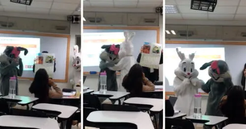 Las personas bajo el traje de conejos bailaron e hicieron pasar un momento divertido a los alumnos. Foto: composición LR/capturas de TikTok/@YumekitoPark UTP, conejos, viral, TikTok