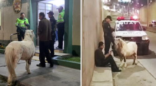 Poni fue llevado a la comisaría. Foto: Radio Yaraví Arequipa larepublica.pe