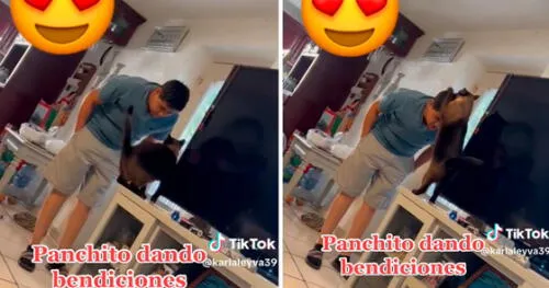 Minino sorprende al 'bendecir' a su dueño antes de salir y se vuelve viral.