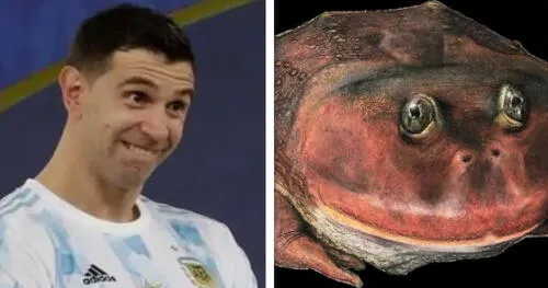 'Dibu' Martínez, Selección argentina, Mundial Qatar 2022