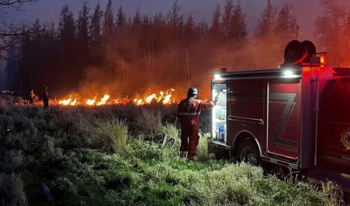 Diferentes gobiernos de la esfera global han concluido que el 95% de los incendios forestales son producidos por el humano, sea deforestándolo o fumándose un cigarrillo. Foto: referencial/EFE Incendio en Canadá