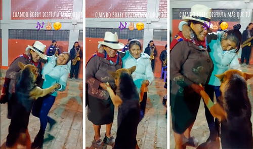 Yauyos, fiesta, perrito, viral, TikTok