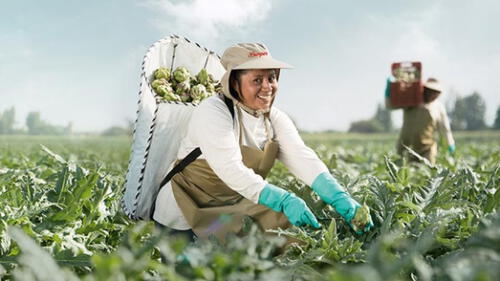 Danper subscribe un crédito sostenible, ratificando su posicionamiento de empresa líder de la agroindustria en base a su modelo de gestión basado en la creación de Valor Compartido. larepublica.pe