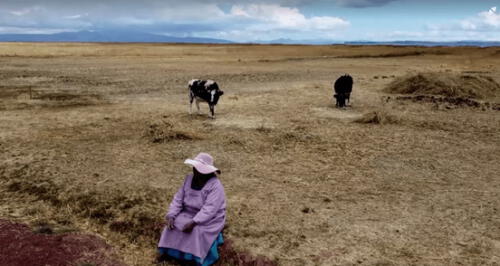 Todo seco. Terrenos de cultivos no se pudieron sembrar en la campaña 2022-2023, debido a la falta de lluvias en la región Puno.