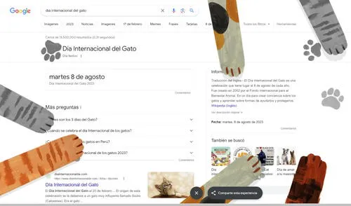 El 'easter egg' por el Día Internacional del Gato en PC.