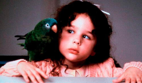 La película 'Paulie', se estrenó en 1998 y fue protagonizada por Hallie Kate Eisenberg. Foto: Aweita La película 'Paulie', se estrenó en 1998 y fue protagonizada por Hallie Kate Eisenberg. Foto: Aweita