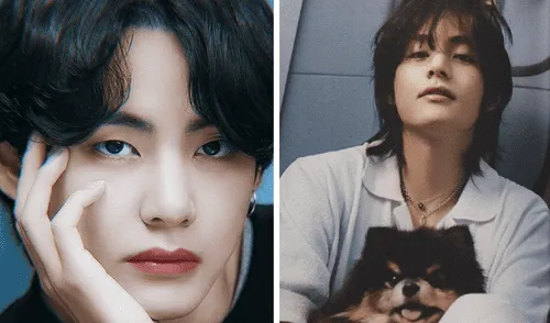 BTS: Taehyung debutará como solista y fotos previas del disco causan sensación