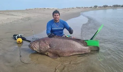 Esta pesca sorprendió a muchos en las redes sociales. Foto: difusión