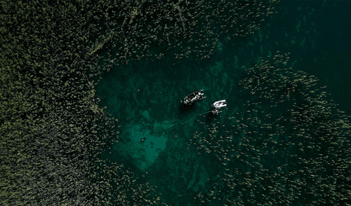 Vista aérea del lago Ocrida, en Albania, donde los arqueólogos hallaron el asentamiento de 8.000 años. Foto: AFP Vista aérea del lago Ocrida, en Albania, donde los arqueólogos hallaron el asentamiento de 8.000 años. Foto: AFP