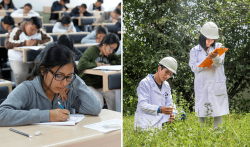 Las carreras con mayor proyección a futuro se vinculan con temas de medioambiente y comercio digital. Foto: composición LR/Universidad Nacional José María Arguedas/Andina Mejores carreras del futuro en Perú