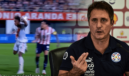 Guillermo Barros Schelotto, selección peruana