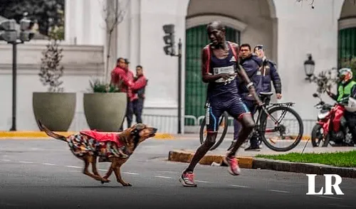 El hecho ocurrió durante la Maratón de Buenos Aires (Argentina). Foto: composición LR/@scherargei Maratón de Buenos Aires