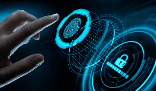 Es uno de los elementos que pocos conocen. Foto: Recfacs