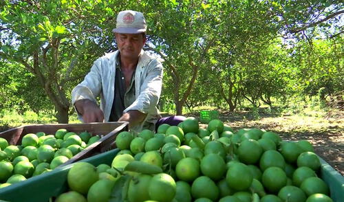 Ciudadanos han creado mesas técnicas para trasladar reclamos al Ejecutivo. Foto: Midagri Agriculores | Crisis | Piura