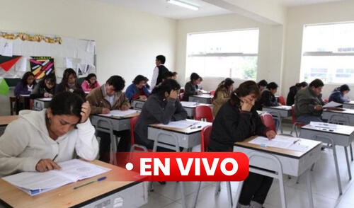 profesores