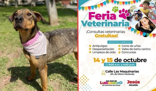 La feria es organizada por la Municipalidad de SJL. Foto: composición LR mascotas