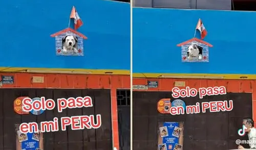 La vivienda ubicada en el Callao llamó la atención de los usuarios por su curiosa construcción. Foto: composición LR/Mazeta2524/Tiktok larepublica.pe
