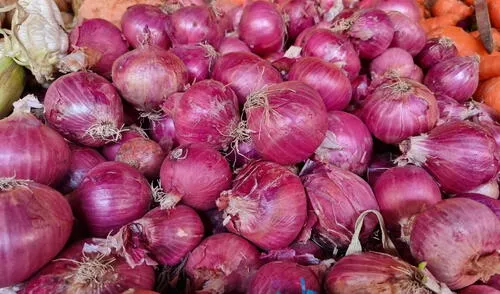 Precio de la cebolla cae hasta los S/2 el kilogramo en mercado minoristas de Lima Metropolitana