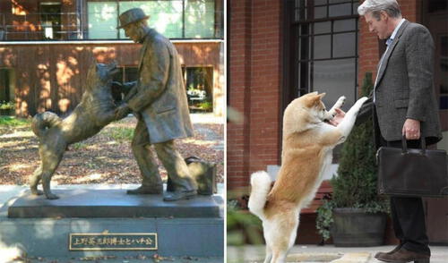 Hachiko: 100 años esperando en la estación, la conmovedora historia de fidelidad de un perro