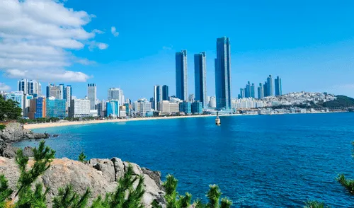 Busan en la actualidad. Foto: difusión.