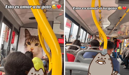 Las imágenes conmovieron los corazones de miles en redes sociales. Foto: composición LR/TikTok/@dtodoproduce