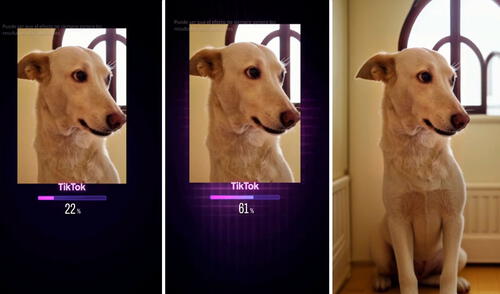 El filtro de TikTok que completa fotos es gratis y fácil de utilizar. Foto: composición LR larepublica.pe