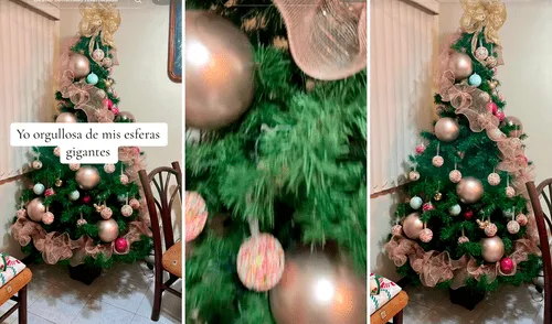 Las imágenes sacaron más de una sonrisa en redes sociales. Foto: composición LR/captura de TikTok/@fanikiss