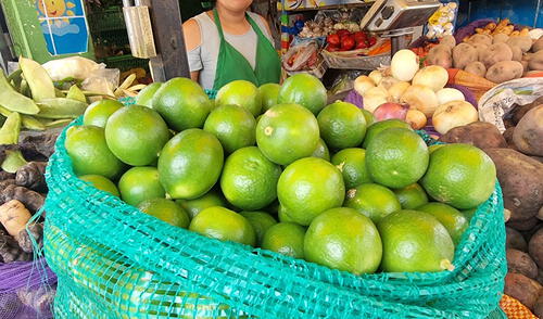 Precio del limón cayó hasta los S/8 el kilogramo en los mercados de Lima