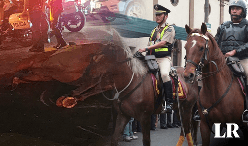Defensores de los animales afirman que caballos pueden ser reemplazados por drones para lograr ventajas en la visibilidad. Foto: composición de Fabrizio Oviedo/Rosario Rojas/La República/Andina PNP, Caballos