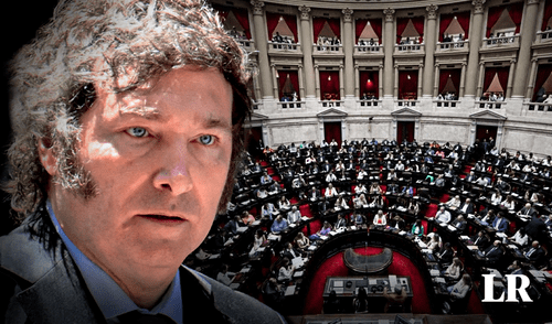 Ley Ómnibus, Javier Milei, Argentina