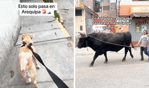 El video dejó a miles de usuarios sorprendidos en redes sociales. Foto: composición LR/TikTok/@adrielanderson El video dejó a miles de usuarios sorprendidos en redes sociales. Foto: composición LR/TikTok/@adrielanderson