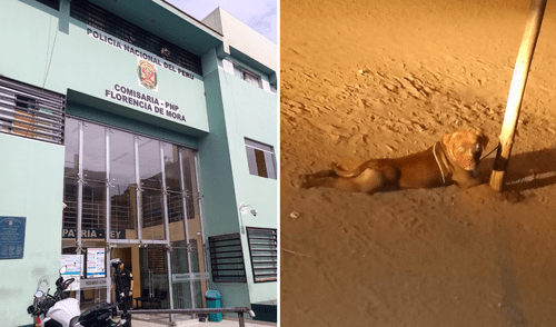 Madre señaló que el estado psicológico de la niña no es bueno. Foto: La República Trujillo