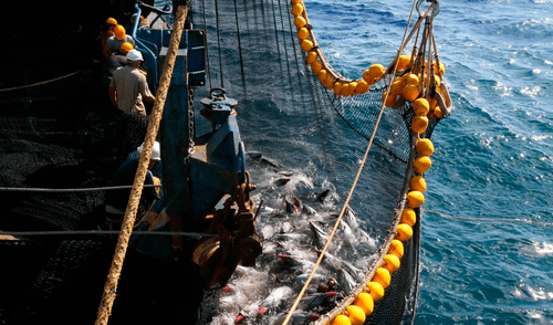 Foto: Andre Baertschi