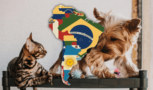 Chile | Mascotas | Ley